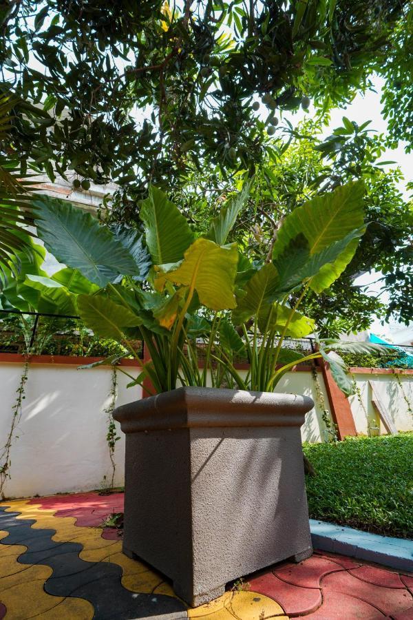 Parudeesa - Heavenly- Luxurious Palace Look-Near Cbd - Kerala - India With Breakfast Kāladi Екстериор снимка